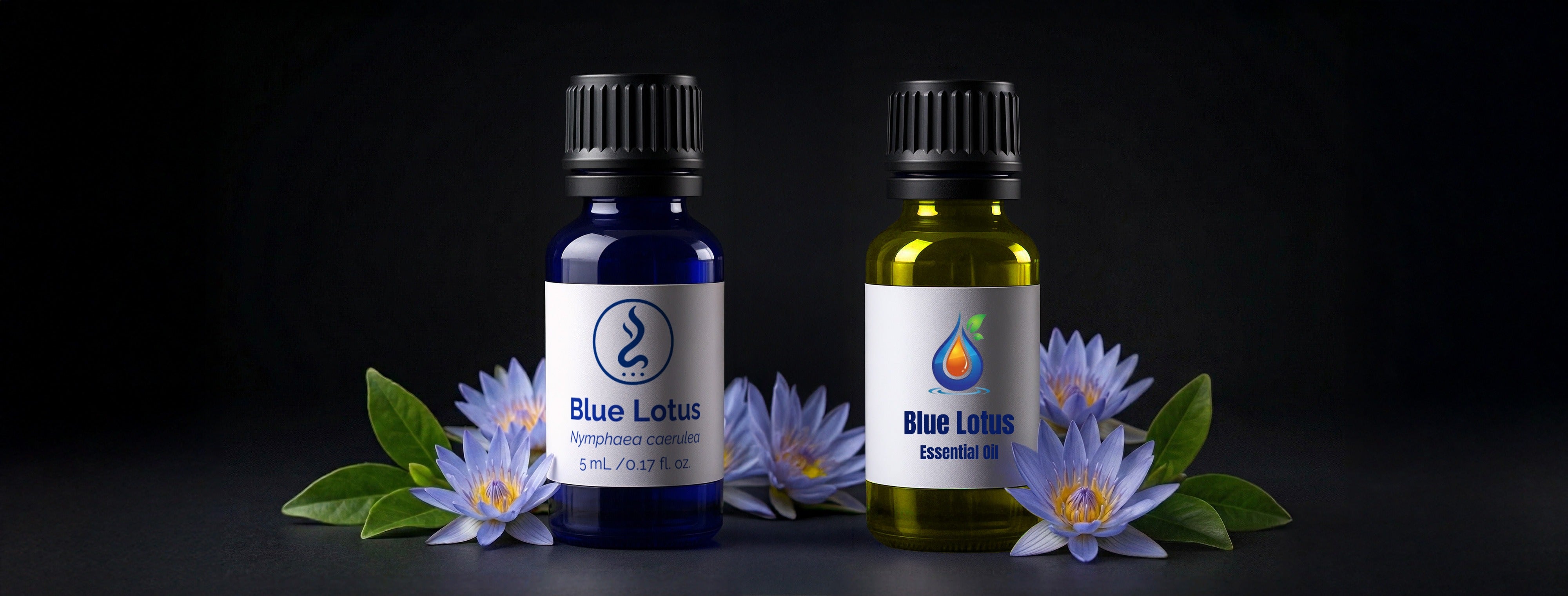 Blue Lotus Sacred Oil vs Blue Lotus Essential Oil: What’s the Real Difference?