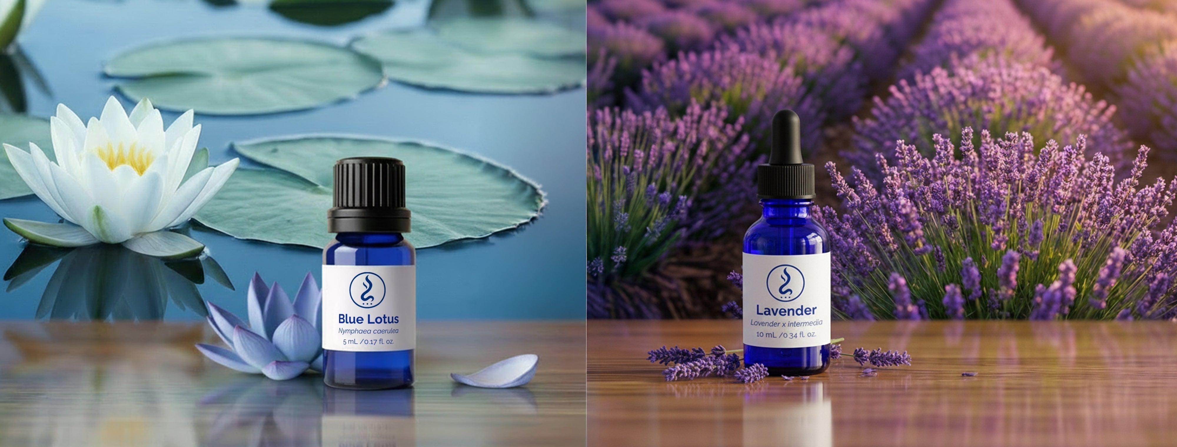 Blue Lotus Oil vs Lavender Oil: What Should You Choose?