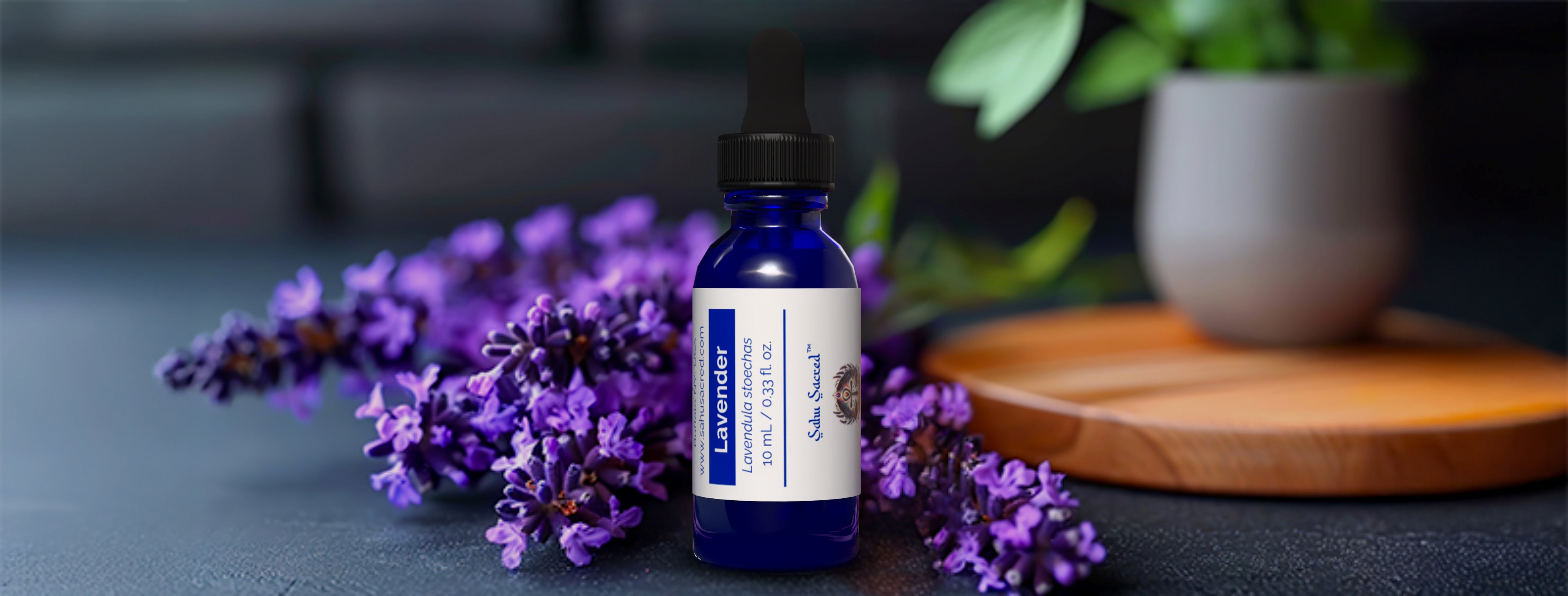 Blue glass bottle of Sahu Sacred Lavender Oil surrounded by fresh lavender flowers on a dark surface, with a wooden tray and potted plant in the background.