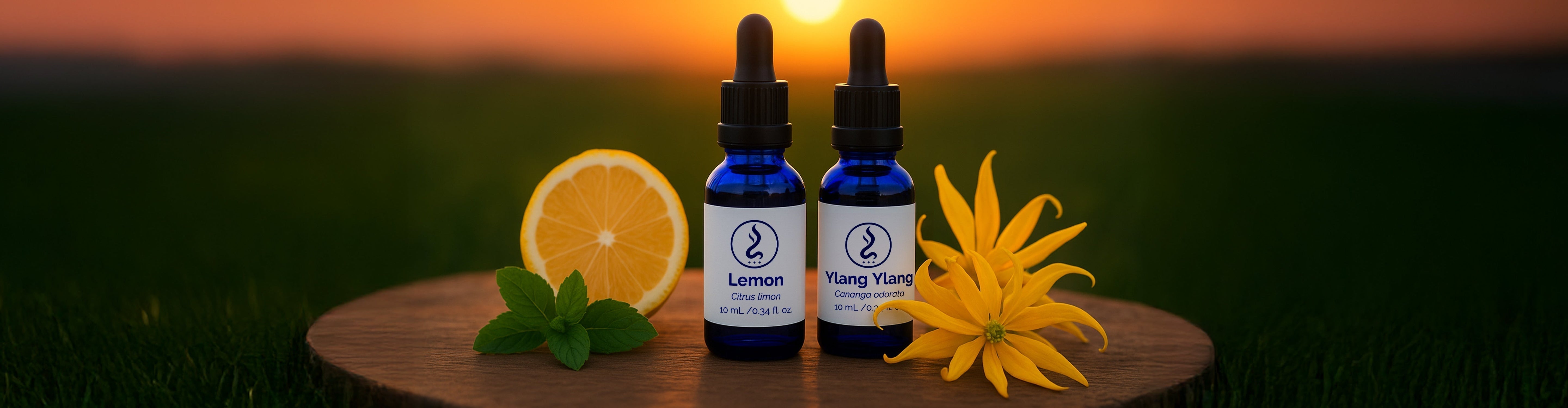 Sahu Sacred oil bottles of Lemon and Ylang Ylang placed on a wooden surface with fresh lemon slice, mint leaves, and yellow flower at sunset background.