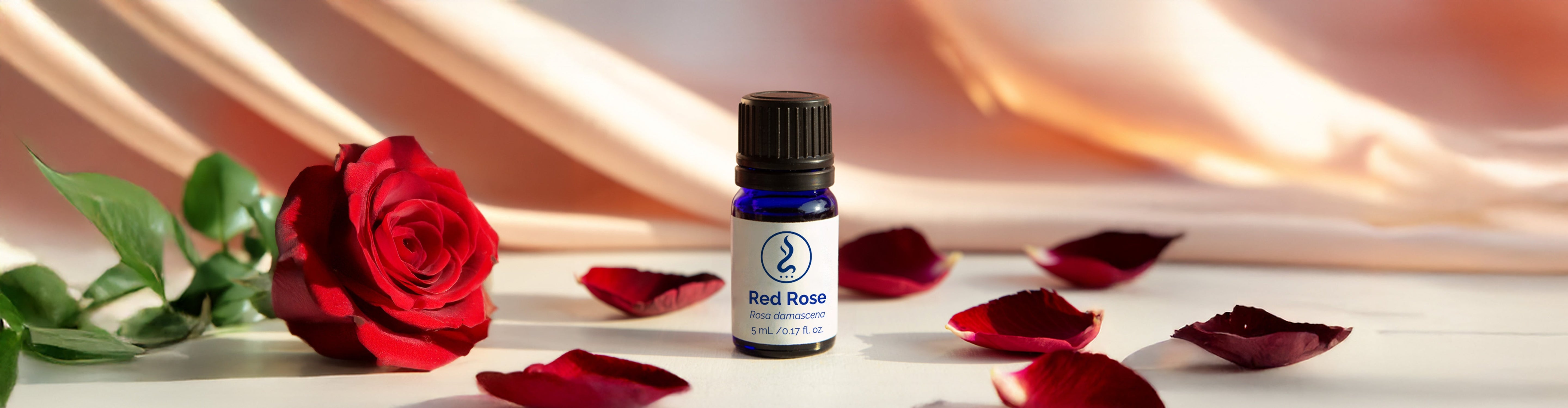 A blue glass bottle of Red Rose oil surrounded by red rose petals and a fresh red rose on a light background.