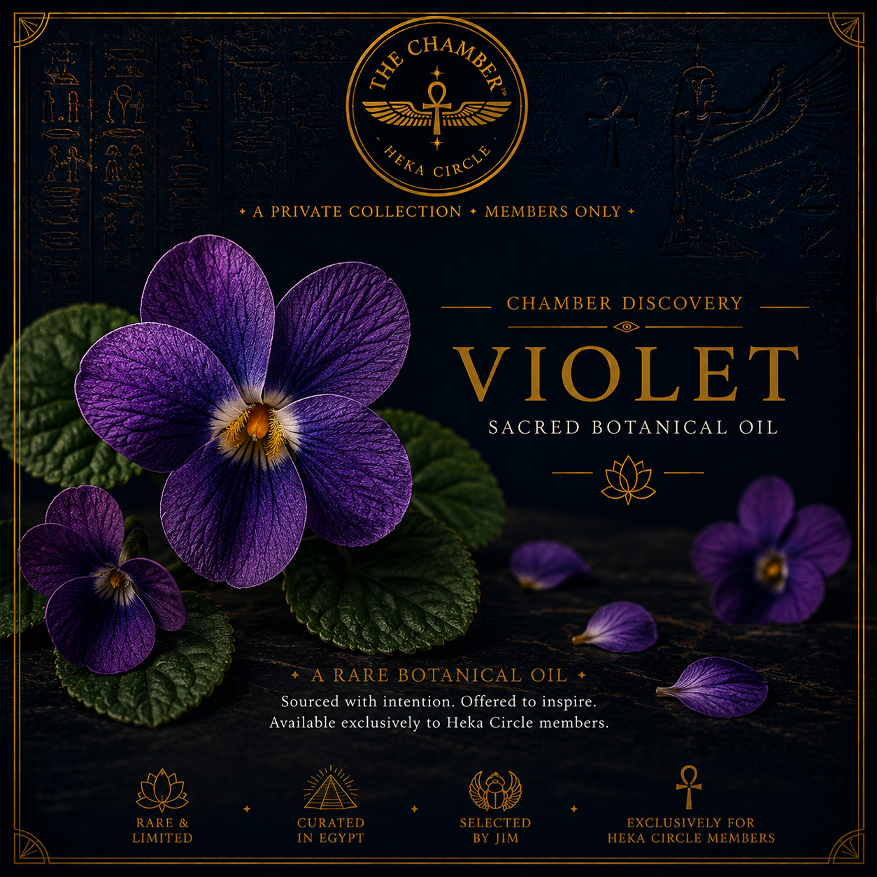 Violet Sacred Botanical Oil