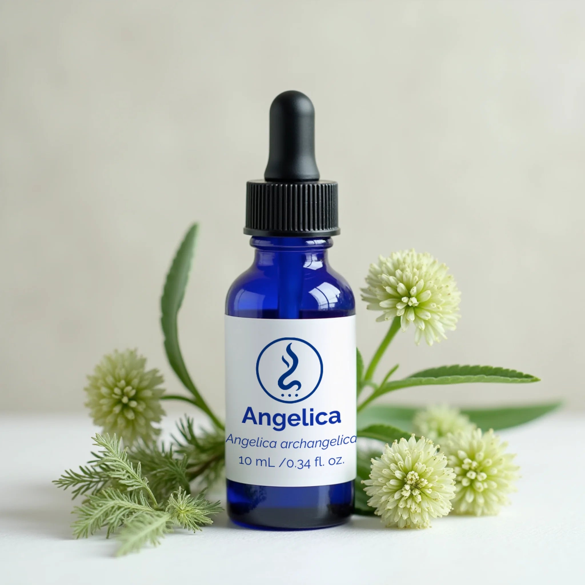 Angelica Oil 10 mL