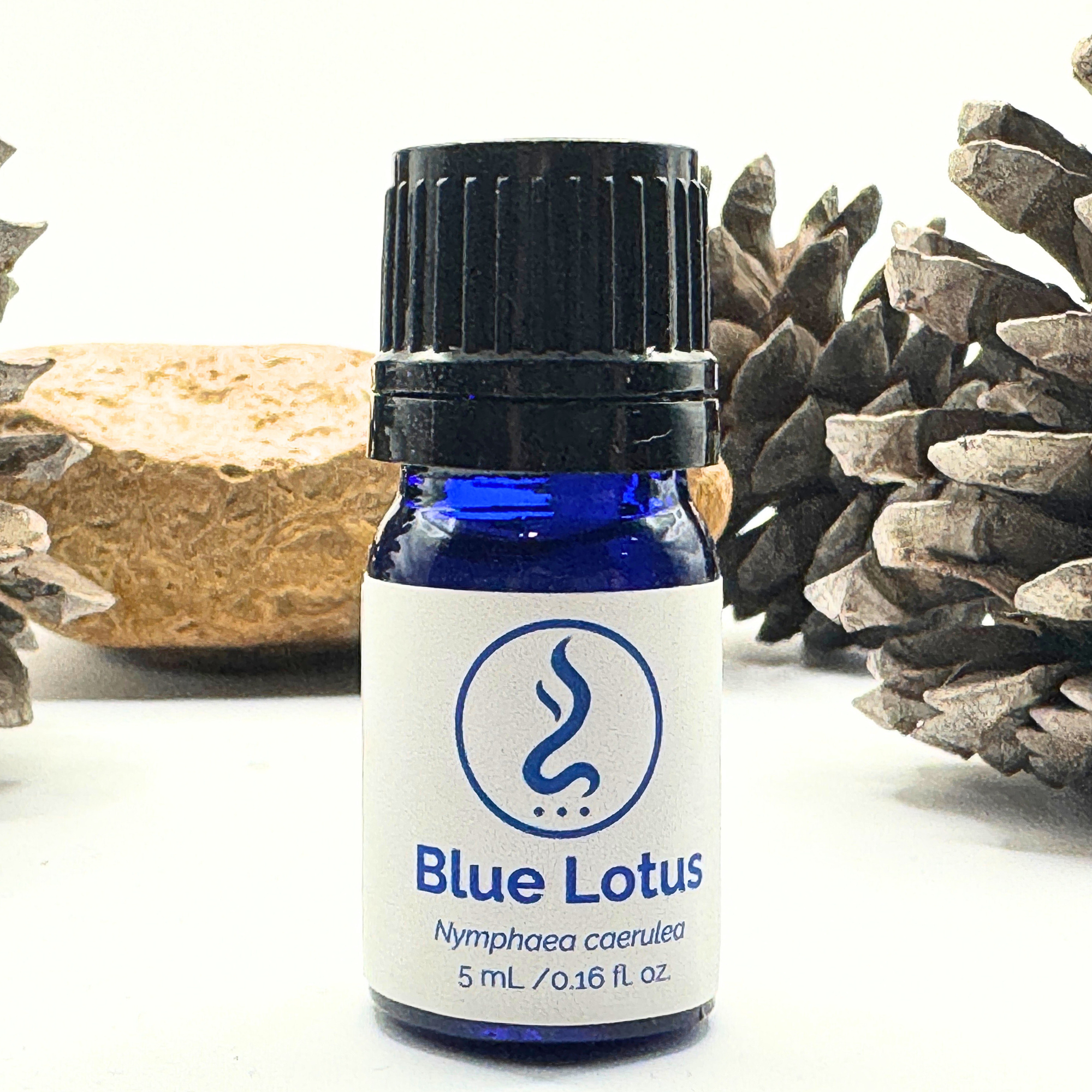 True Egyptian Blue Lotus Oil 5 mL | Cold-Pressed