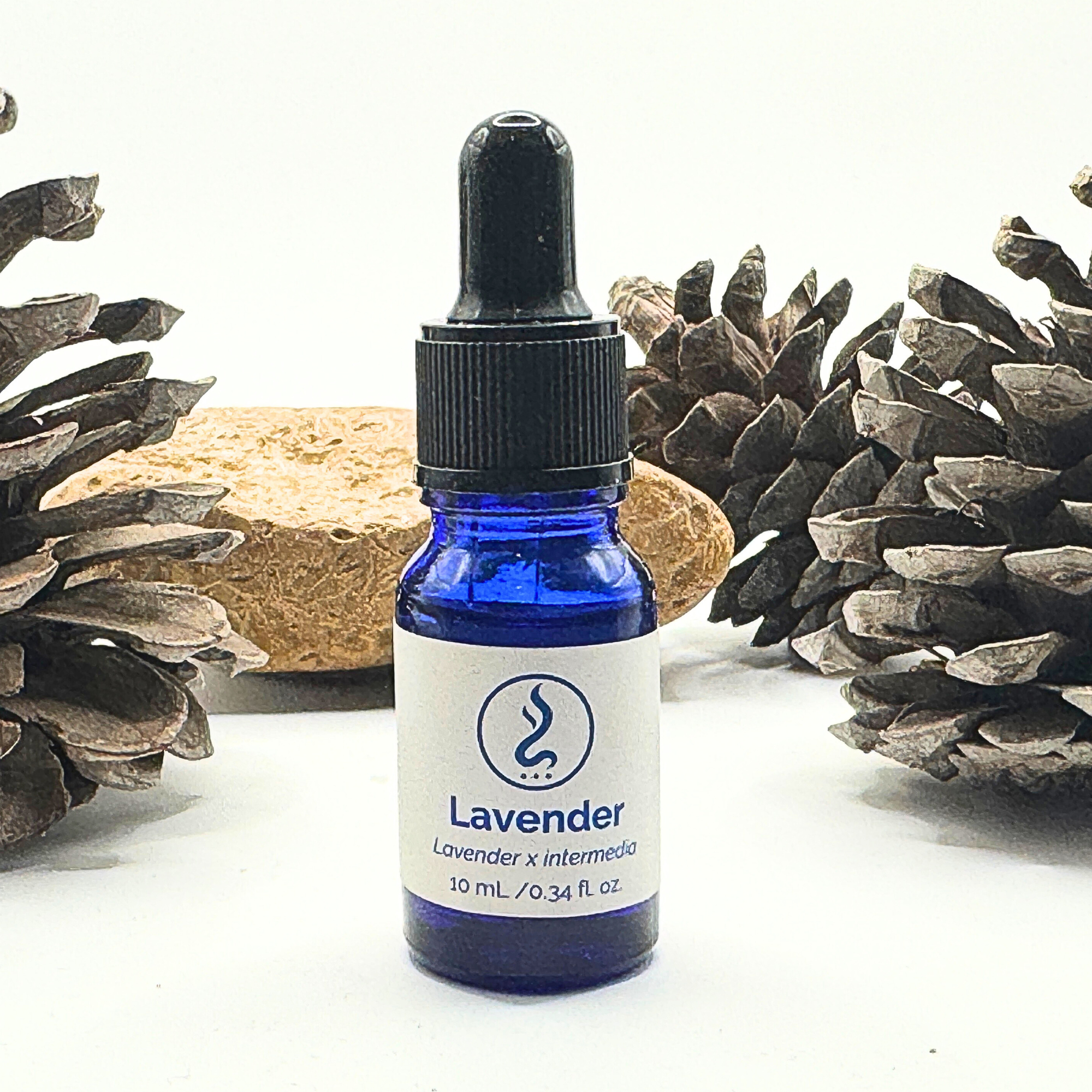 Lavender Oil 10 mL | 100% Cold-Pressed Egyptian Oil