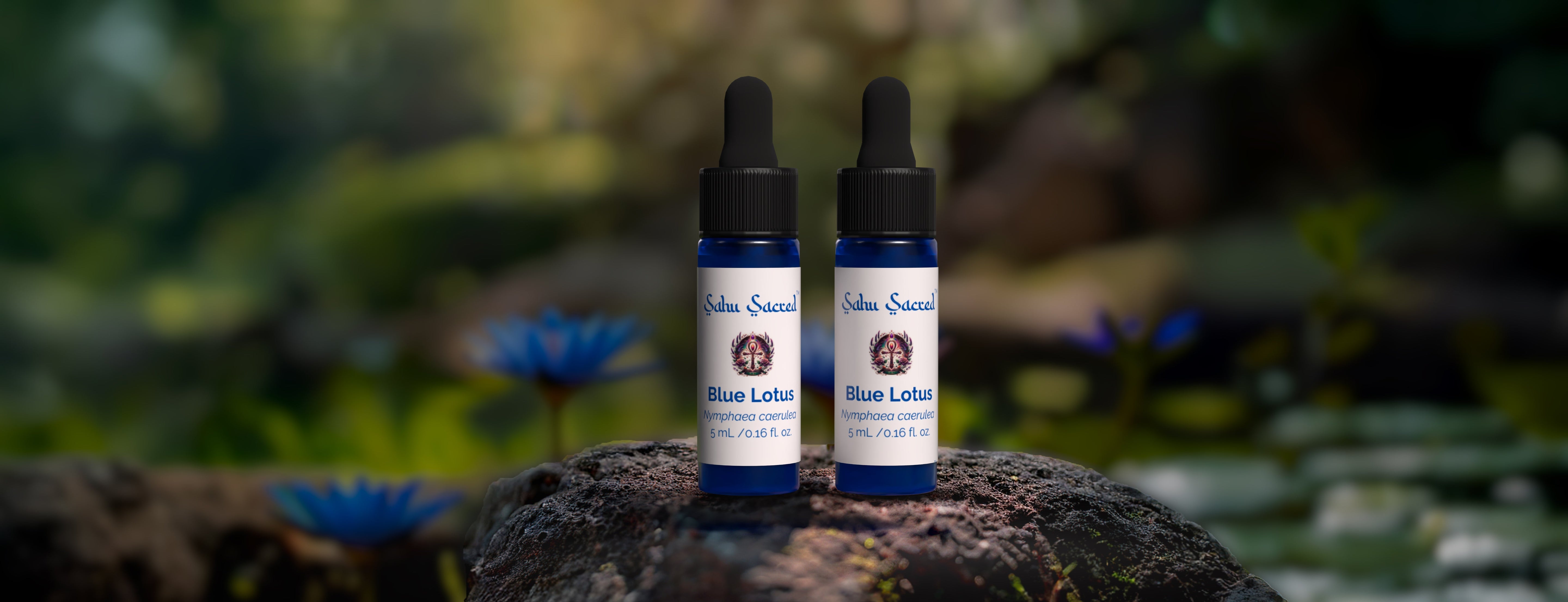 Our Complete Guide to Blue Lotus Oil: Benefits, Uses, and Cautions