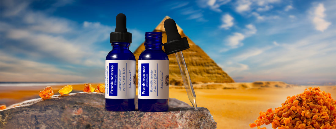 Our Complete Guide to Frankincense Oil: Benefits, Uses, and Cautions