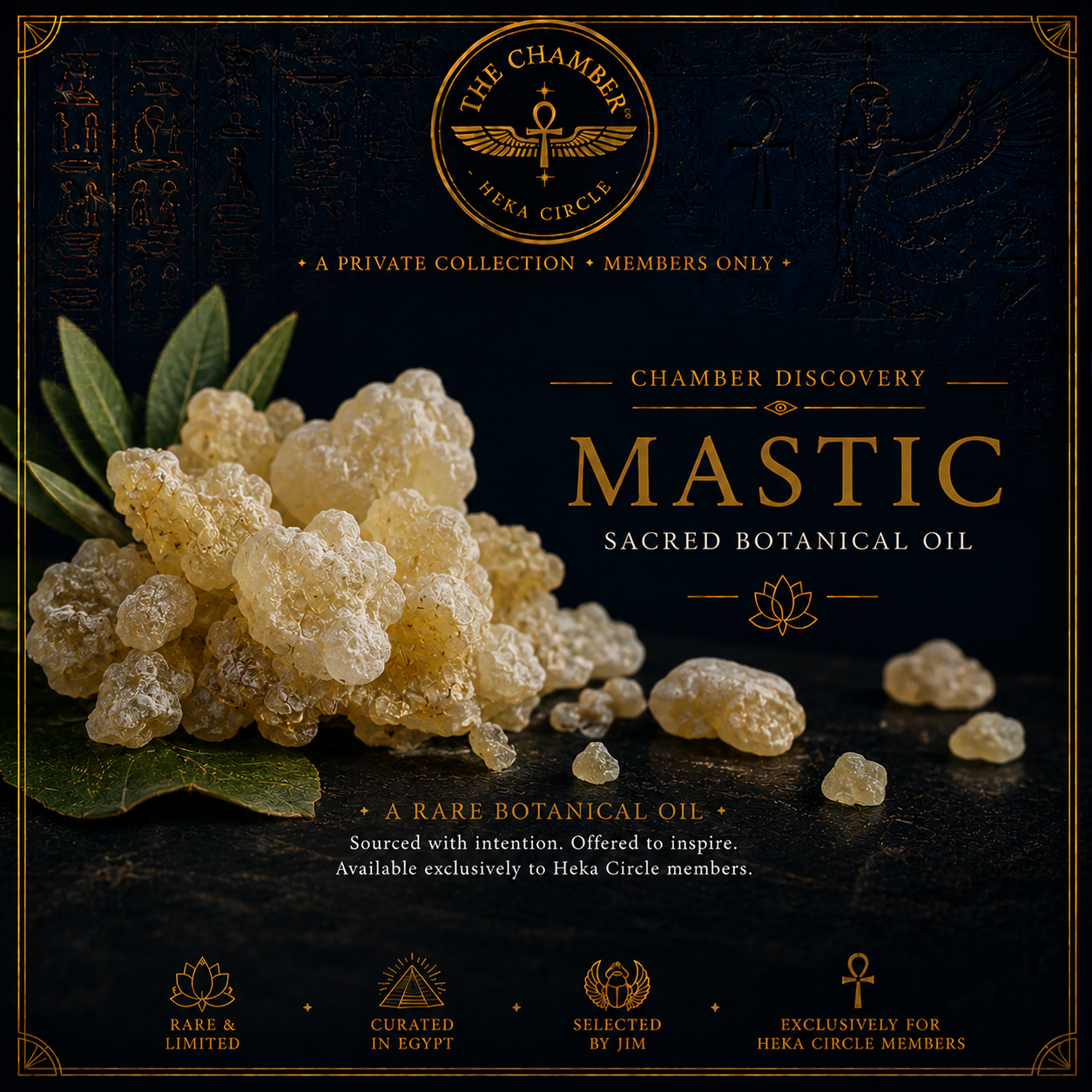 Mastic Sacred Botanical Oil
