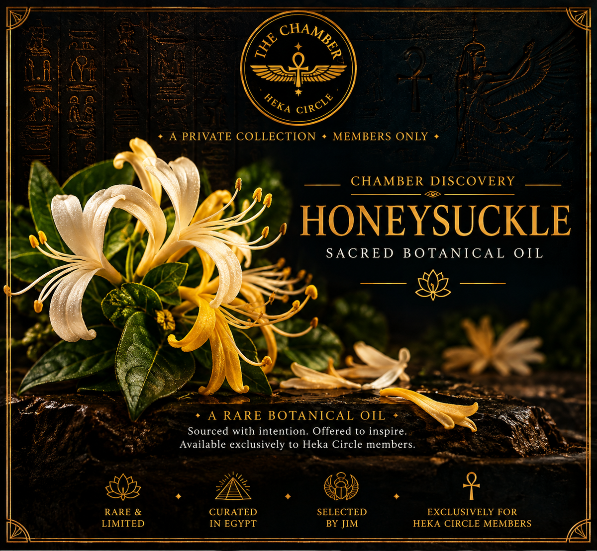 Honeysuckle Oil | 5 mL | 22% OFF