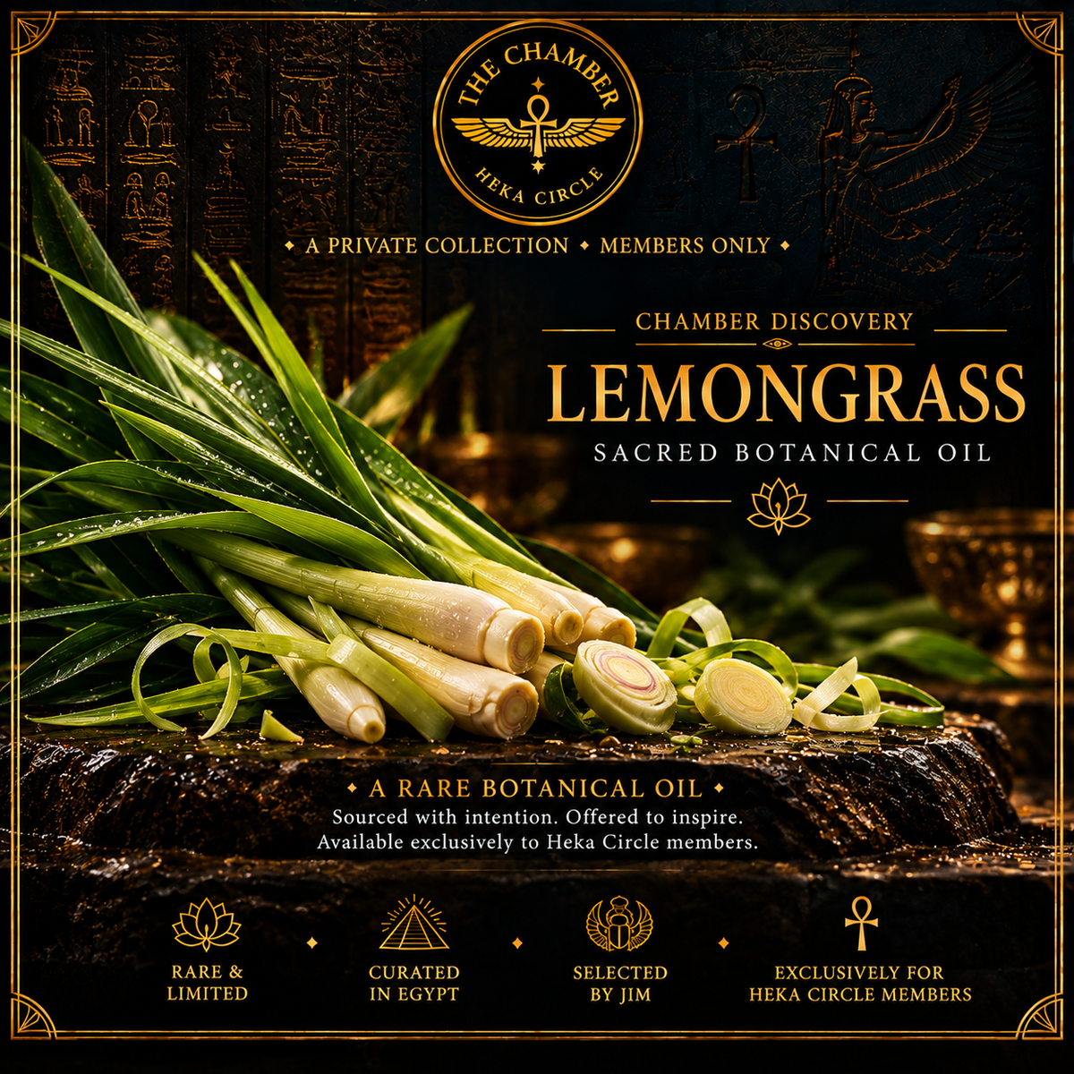 Lemongrass Oil | 10 mL | 22% OFF