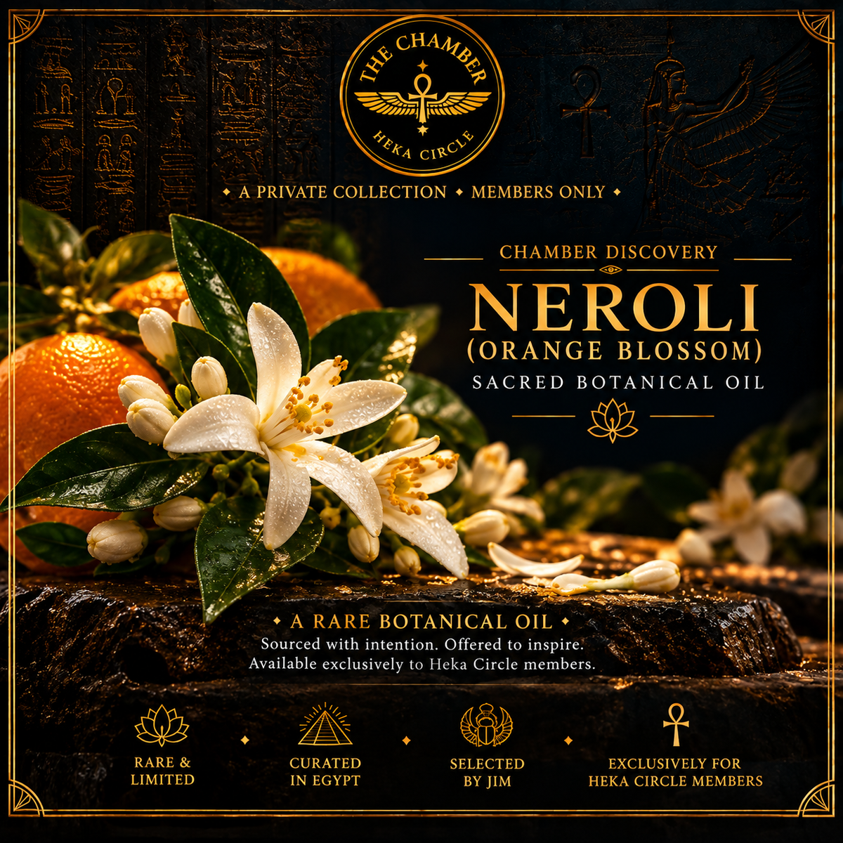 Neroli Oil | 5 mL | 22% OFF