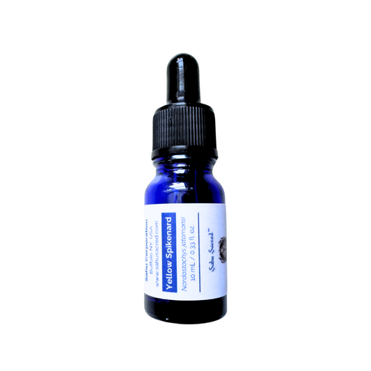 Yellow Spikenard 10 mL