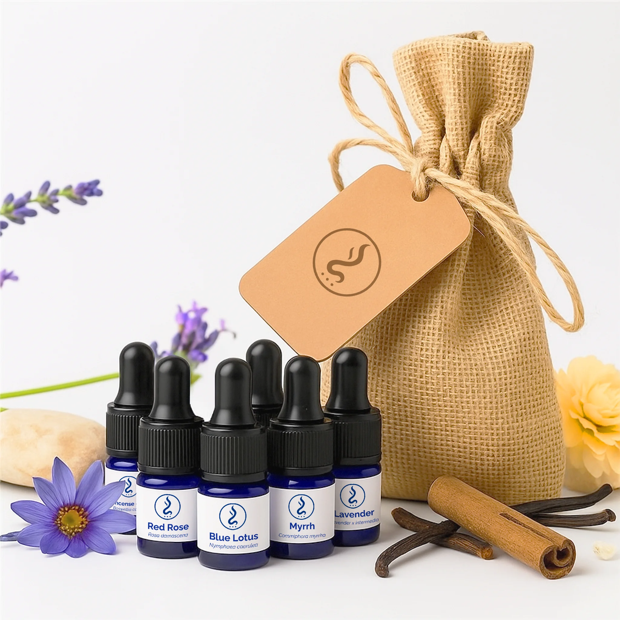 Essence Explorer Sample Kit